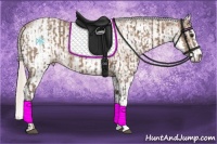 Horse Color:Silver Bay Ice  and White Spotted Silver Bay Ice 