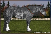 Horse Color:Brown Chinchilla Dun Sabino Tobiano and Black