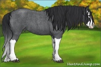 Horse Color:Blue Roan Splash