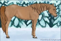 Horse Color:Chestnut  and Chestnut 