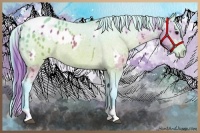 Horse Color:Watercolor Brown Appaloosa  and Watercolor Brown Appaloosa 