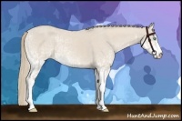 Horse Color:Smoky Creme Sabino and White Spotted Smoky Creme Sabino
