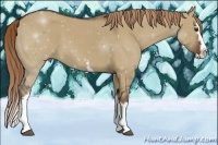 Horse Color:White Spotted Liver Red Dun Splash