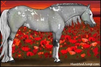 Horse Color:White Spotted Silver Grullo Chinchilla