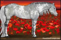 Horse Color:White Spotted Silver Grullo Chinchilla 