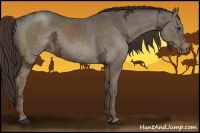 Horse Color:Liver Chestnut Ice 