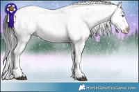 Horse Color:Brown Chinchilla Ice Sabino
