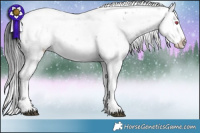 Horse Color:Brown Chinchilla Ice Sabino 