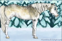 Horse Color:White Spotted Liver Red Onyx Mushroom Splash