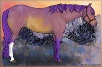 Horse Color:Watercolor Bay Rabicano 