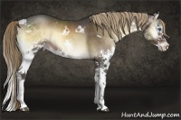 Horse Color:White Spotted Liver Red Onyx Splash Rabicano 
