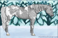 Horse Color:White Spotted Silver Grullo Chinchilla Ice