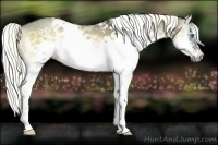 Horse Color:White Spotted Liver Red Dun Onyx Splash Frame