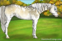 Horse Color:White Spotted Liver Red Onyx Splash Rabicano 