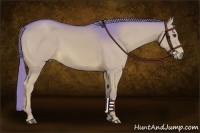 Horse Color:Watercolor Chestnut 