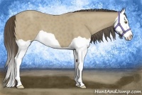 Horse Color:Classic Cream Champagne Splash