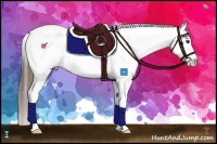 Horse Color:Liver Chestnut Splash Tobiano Varnish 