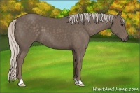 Horse Color:Silver Black 
