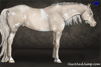 Horse Color:White Spotted Chocolate Palomino Pearl 