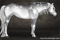 Horse Color:White Spotted Silver Blue Onyx Chinchilla 