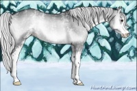 Horse Color:White Spotted Silver Blue Onyx Chinchilla 