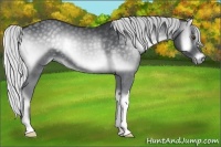 Horse Color:Silver Smoky Blue Onyx Chinchilla 