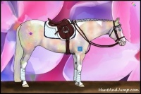 Horse Color:Nacre Silver Buckskin Pearl Sabino Tobiano