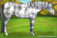 Horse Color:Plaid  White Spotted Classic Champagne Chinchilla Rabicano 