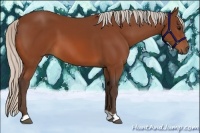 Horse Color:Silver Bay 