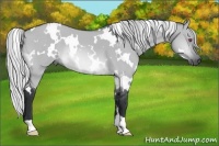 Horse Color:White Spotted Silver Brown Chinchilla Dun 