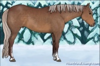 Horse Color:Chocolate Silver Brown Sabino 