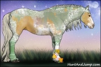 Horse Color:Watercolor Silver Bay Sabino  and Watercolor White Spotted Silver Brown Ice Sabino Rabicano 