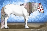 Horse Color:Nacre Black Ice Sabino Frame 