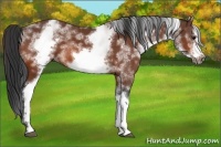 Horse Color:White Spotted Bay Frame 
