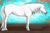 Horse Color:Gray Liver Chestnut Splash Near Leopard
