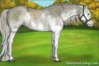 Horse Color:Chocolate Palomino Ice Splash 