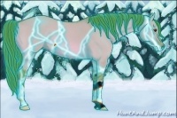 Horse Color:Thunderstruck Watercolor Buckskin Dun