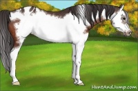 Horse Color:Brown Splash Frame Varnish 