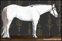 Horse Color:Brown Near Leopard  and Brown Near Leopard Rabicano 