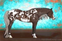 Horse Color:Silver Brown Frame Appaloosa