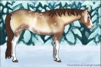 Horse Color:White Spotted Red Onyx Rabicano 