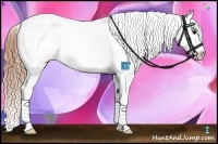 Horse Color:Buckskin Splash Tobiano Blanket 