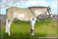 Horse Color:Chocolate Palomino Splash 