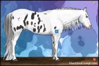 Horse Color:Liver Chestnut Tobiano Blanket 