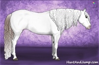 Horse Color:Bay Snowcap 
