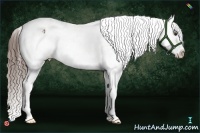 Horse Color:Liver Chestnut Sabino Tobiano Varnish