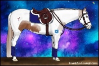Horse Color:Chestnut Splash Tobiano