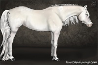 Horse Color:White Spotted Silver Smoky Creme Onyx 