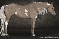 Horse Color:White Spotted Silver Smoky Black 