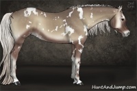 Horse Color:White Spotted Silver Smoky Blue Onyx 